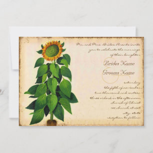 Whimsical Sunflower Wedding Invitation Ivory