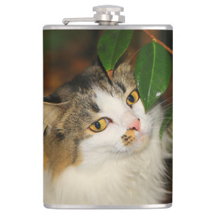Whimsical The Cat and the Camellia Hip Flask