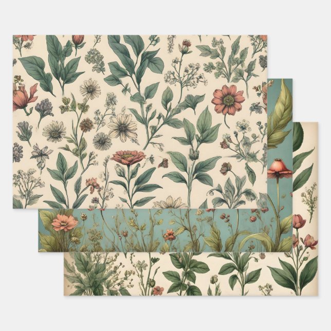 Whimsical Vintage Botanical Floral Sketches Wrapping Paper Sheet (Set)