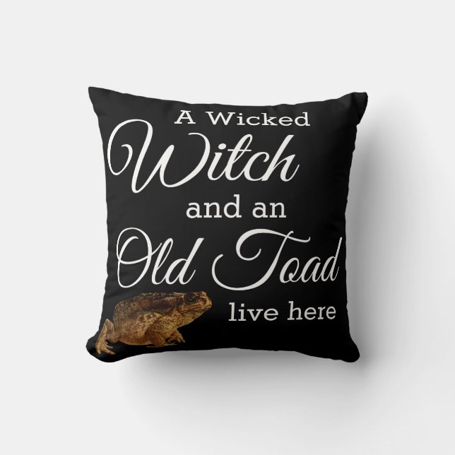 Whimsical Wicked Witch and Old Toad Pillow  (Front)
