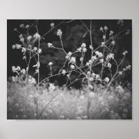 Whimsical Wildflower Black and White