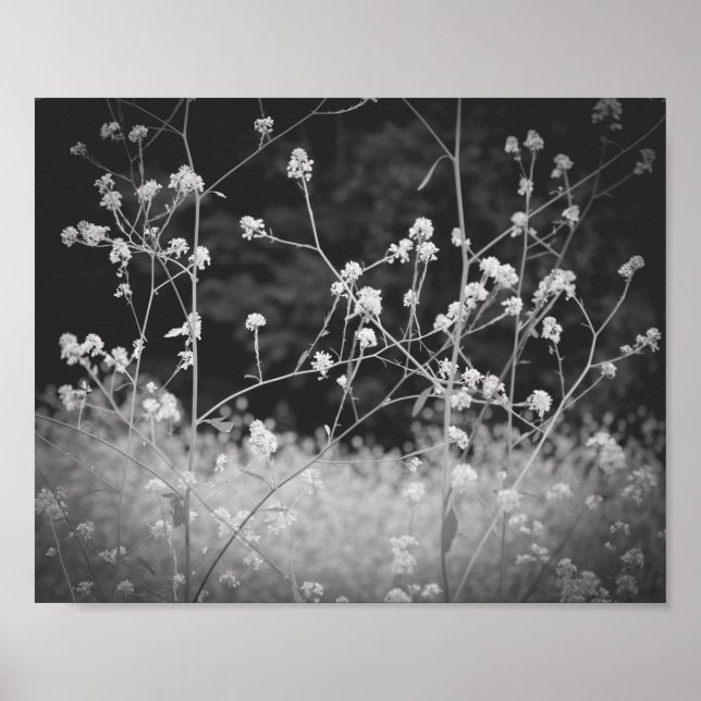 Whimsical Wildflower Black and White Poster (Front)