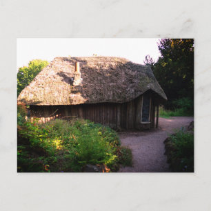 Whimsical Wood House Photo Postcard