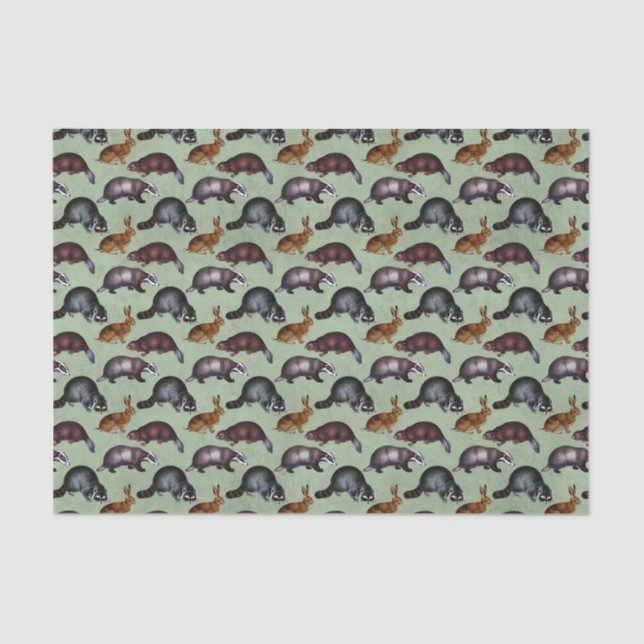 Whimsical Woodland Animals Tissue Paper (Front)