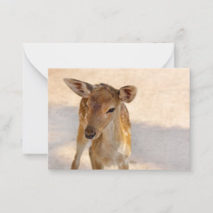 Whimsical Woodland Deer Photography Card