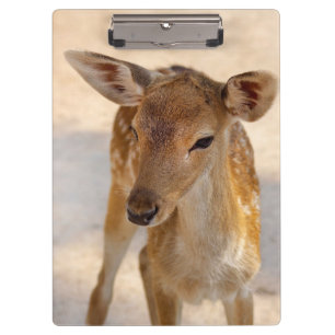 Whimsical Woodland Deer Photography Clipboard