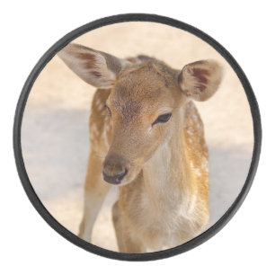 Whimsical Woodland Deer Photography Hockey Puck