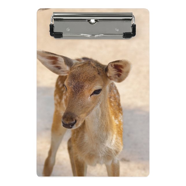 Whimsical Woodland Deer Photography Mini Clipboard (Front)