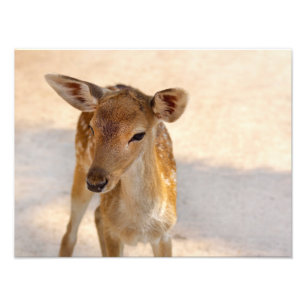 Whimsical Woodland Deer Photography Photo Print