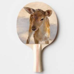 Whimsical Woodland Deer Photography Ping Pong Paddle