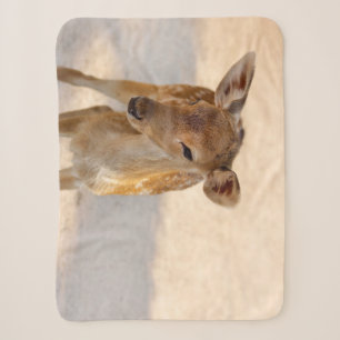 Whimsical Woodland Deer Photography Sherpa Blanket