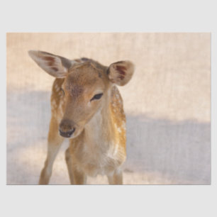 Whimsical Woodland Deer Photography Tissue Paper