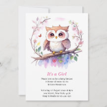Whimsical Woodland Owl Girl Baby Shower