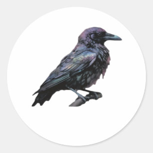Whimsigoth Moody Floral Grungy Corvus, Raven, Crow Classic Round Sticker