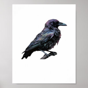 Whimsigoth Moody Floral Grungy Corvus, Raven, Crow Poster