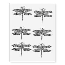 Whimsy Dragonfly