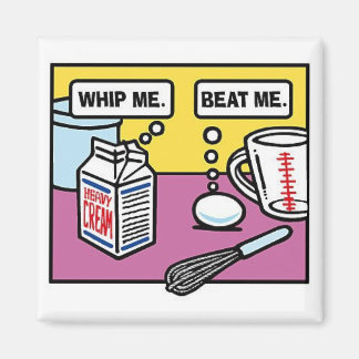 Whip Me...Beat Me Magnet