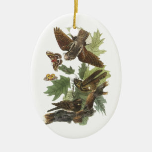Whip-poor-will by Audubon Ceramic Tree Decoration
