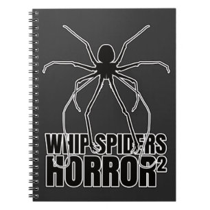 Whip Spiders Whip Scorpion Amblypygi – Entomology Notebook