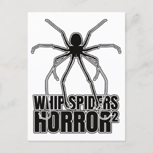 Whip Spiders Whip Scorpion Amblypygi – Entomology Postcard