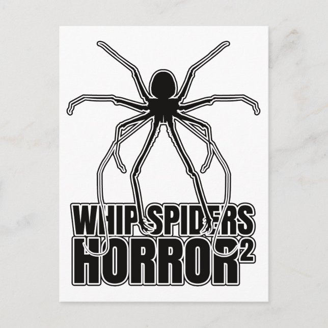 Whip Spiders Whip Scorpion Amblypygi – Entomology Postcard (Front)