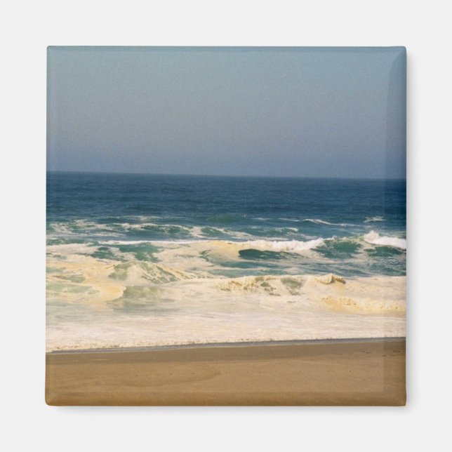 Whipped Cream Waves Hit Beach Magnet (Front)