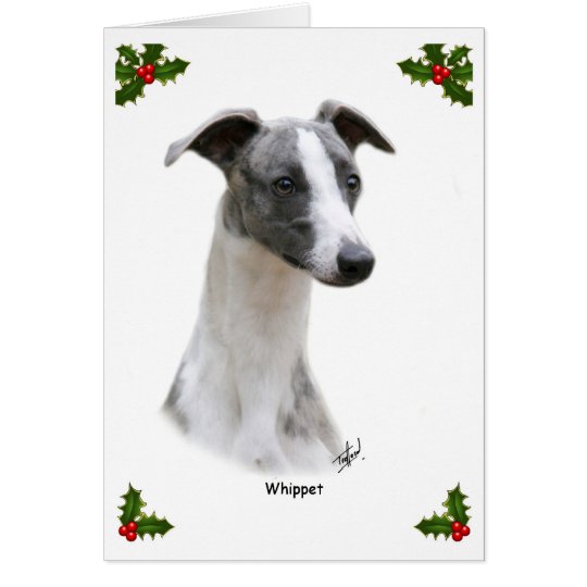 Whippet 9Y205D-231 Card