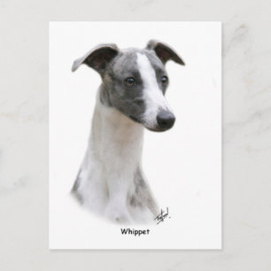 Whippet 9Y205D-231 Postcard
