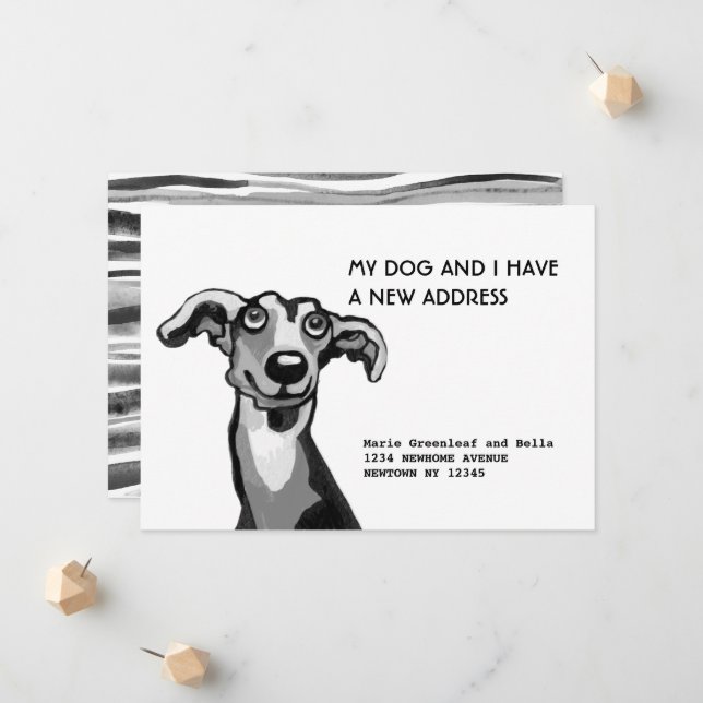 Whippet and I have moved, Flat Announcement Card (Front/Back In Situ)