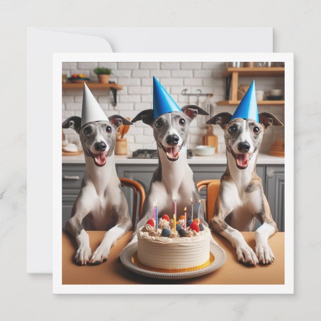 Whippet card, Whippet birthday, Whippet Invitation (Front)