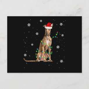 Whippet Christmas Light Cute Santa Whippet Xmas Announcement Postcard
