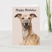 Whippet store happy birthday