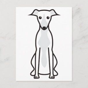 Whippet Dog Cartoon Postcard