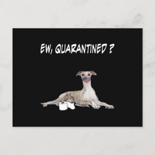 Whippet Dog Ew Quarantined Dog Wearing A Face Mask Holiday Postcard