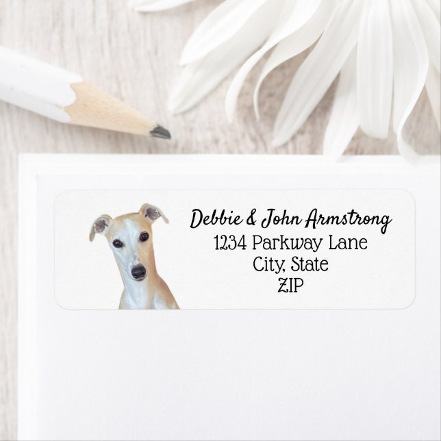 Whippet Dog Puppy Breeder Return Address (Insitu)