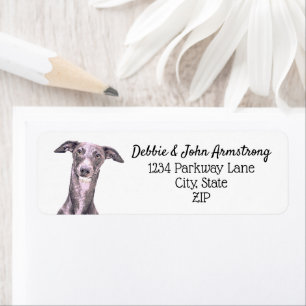 Whippet Dog Puppy Breeder Return Address