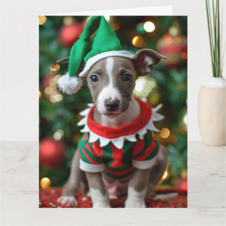 Whippet Elf Puppy Christmas Card 