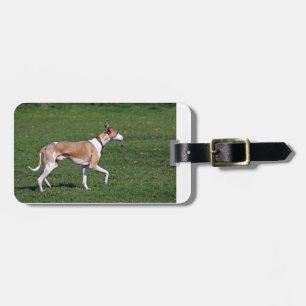 whippet-full.png luggage tag