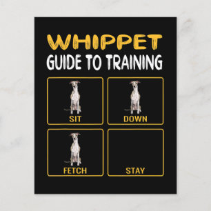 whippet guide to training dog obedience