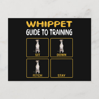 Whippet Guide To Training Dog Obedience Holiday Postcard