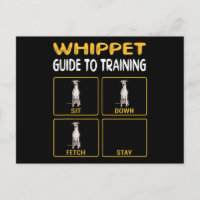 whippet guide to training dog obedience