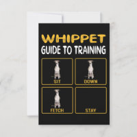 Whippet Guide To Training Dog Obedience