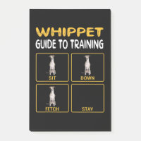 whippet guide to training dog obedience