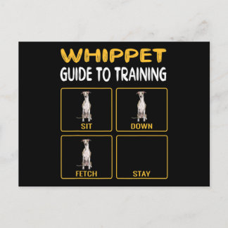 Whippet Guide To Training Dog Obedience Postcard