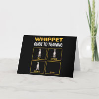 whippet guide to training dog obedience
