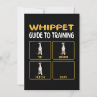 whippet guide to training dog obedience