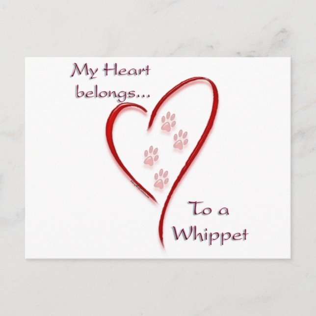 Whippet Heart Belongs Postcard (Front)