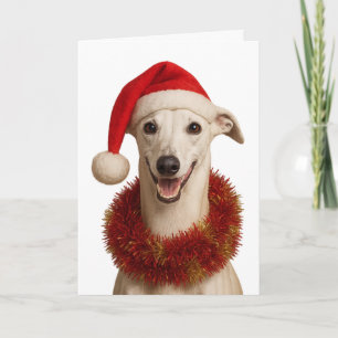 Whippet in a Santa hat Christmas greetings card