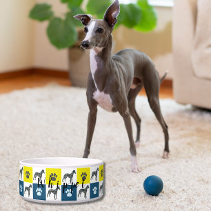 Whippet Italian Greyhound & Paw Y&B New Puppy Bowl