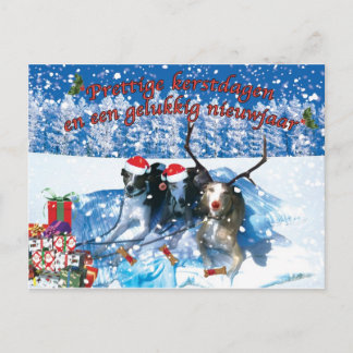 Whippet kerstkaart postcard